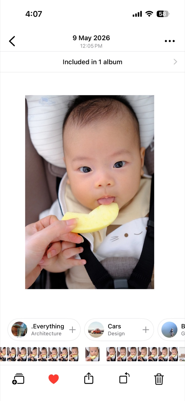 Opla photo viewer showing album membership, suggested albums, filmstrip navigation, and action toolbar